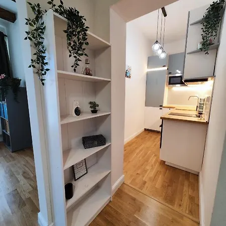 Apart Lion Bridge 2bdr Self Check In * Sofia